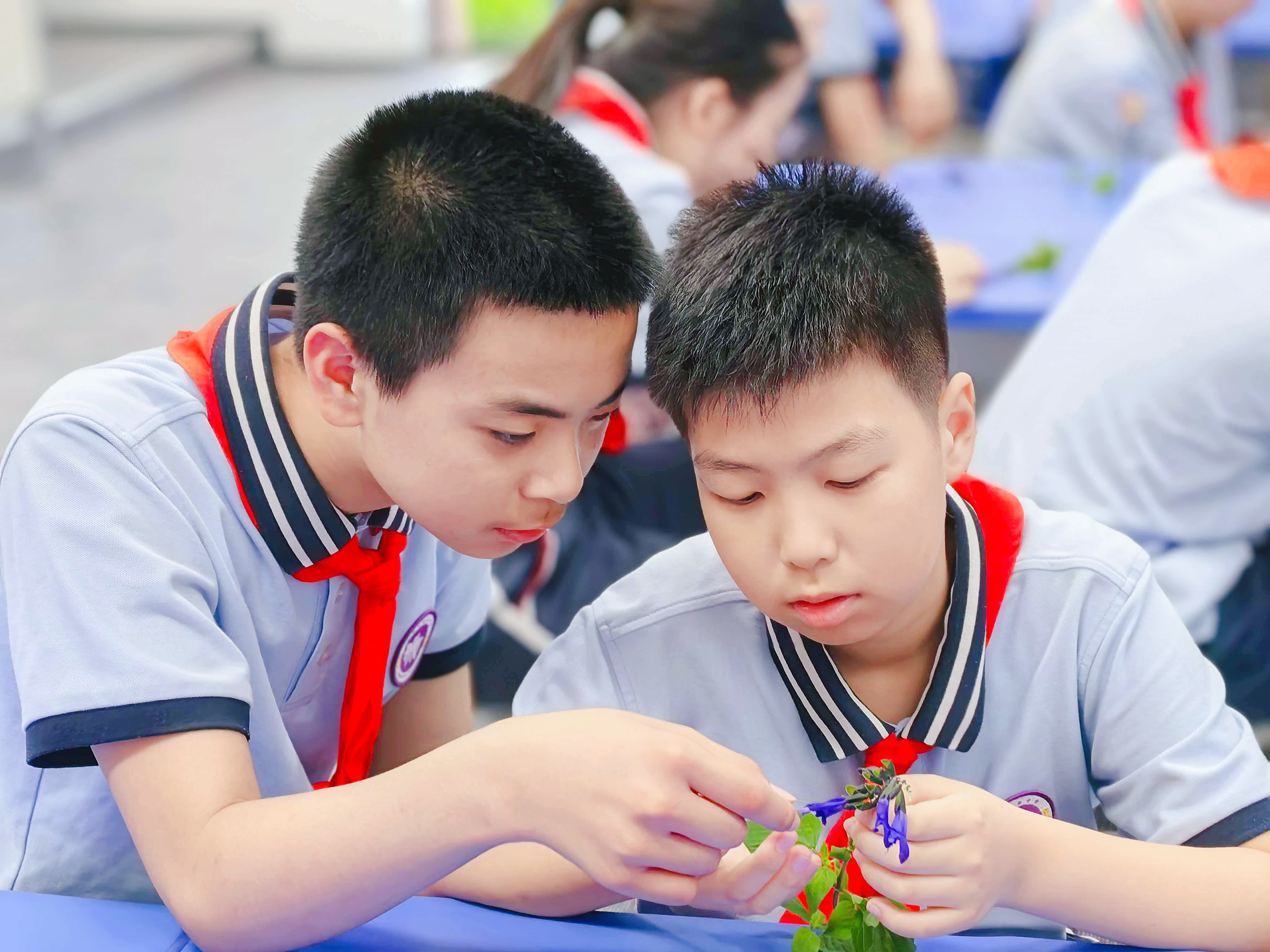 图5.3.jpg 图5.3.jpg