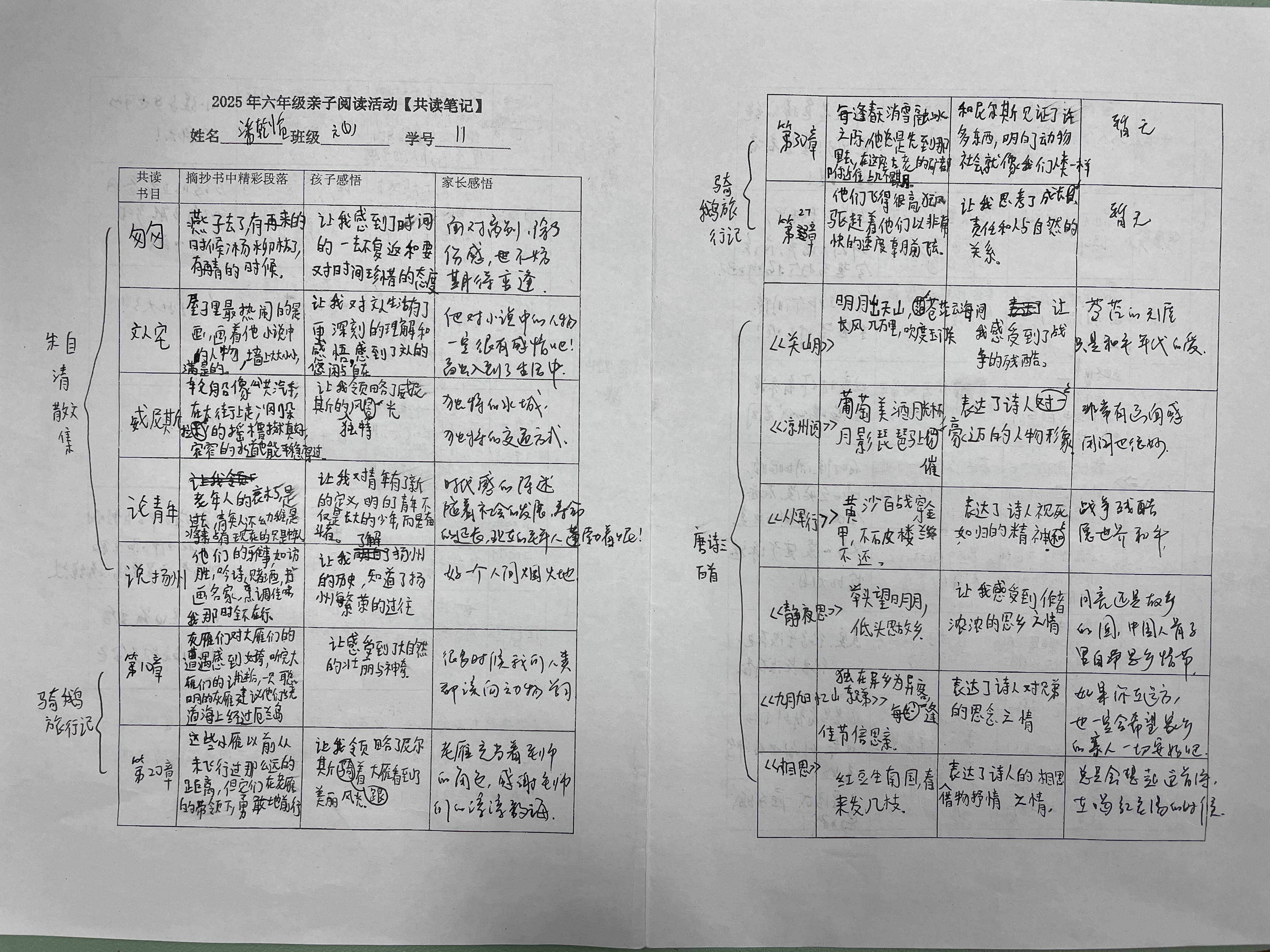 图片11.jpg