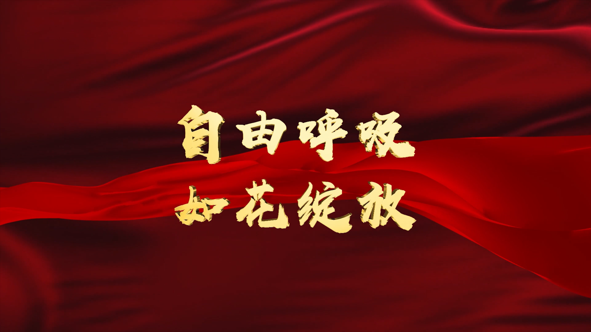 照片2.png 照片2.png
