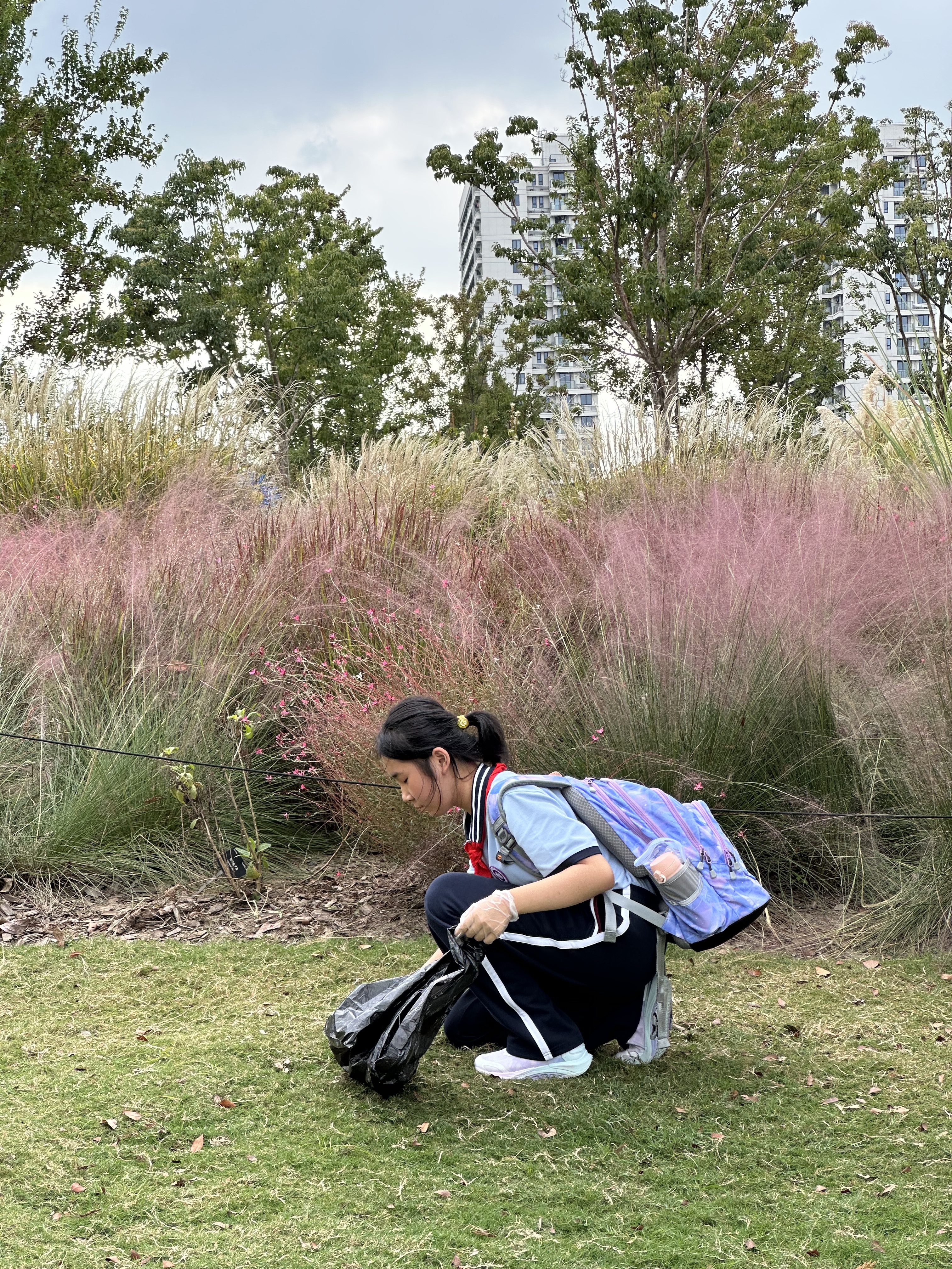 IMG_2062.jpeg IMG_2062.jpeg