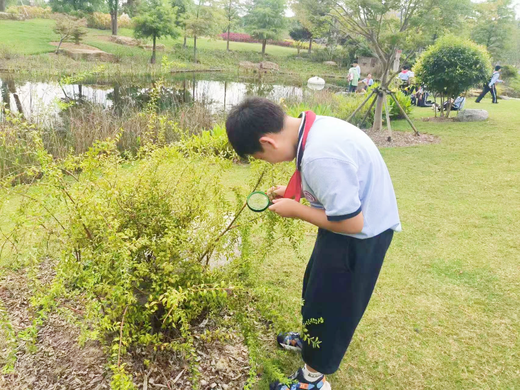 微信图片_20251019203243_157_2.jpg 微信图片_20251019203243_157_2.jpg