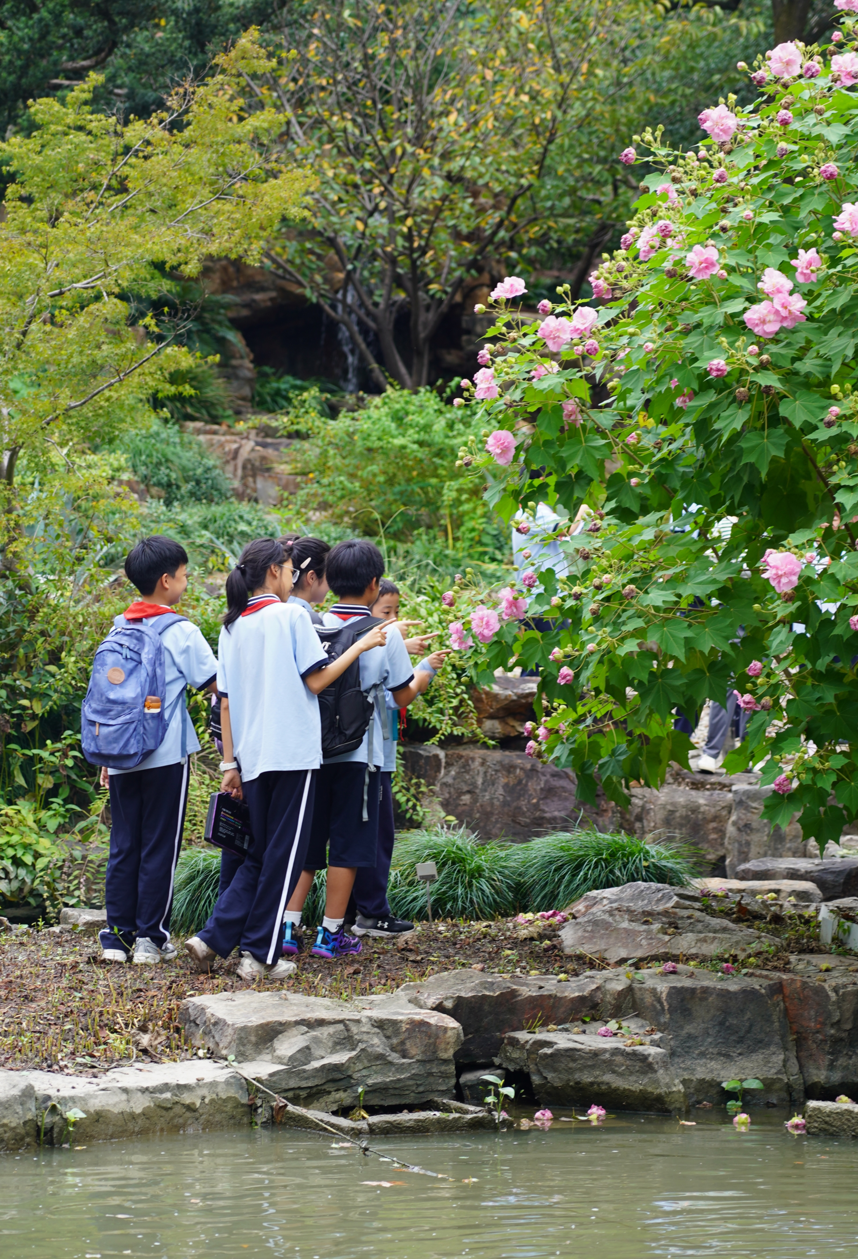 DSC09564.jpg DSC09564.jpg