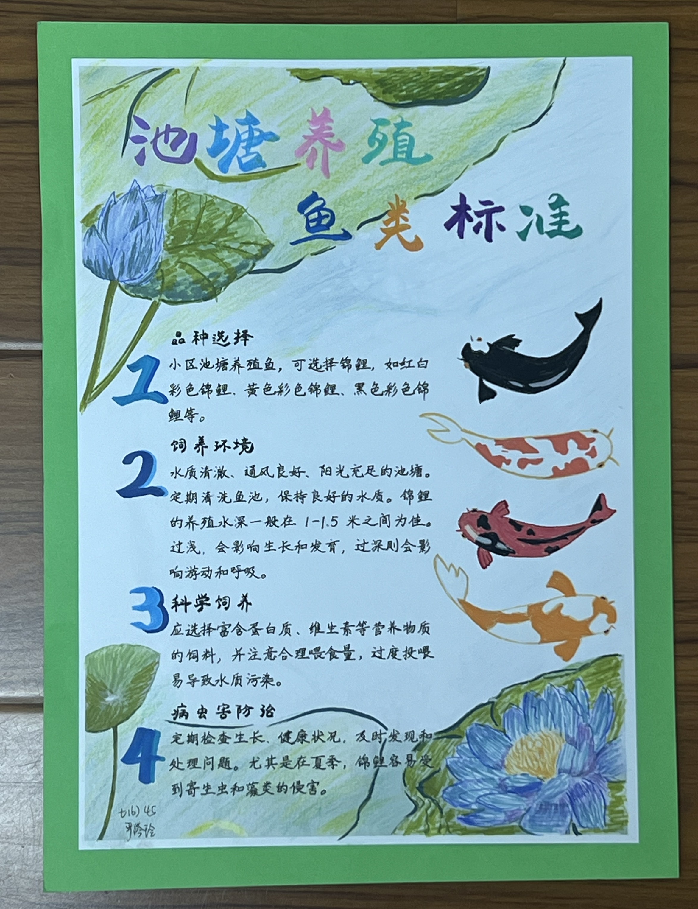 小报9.jpg