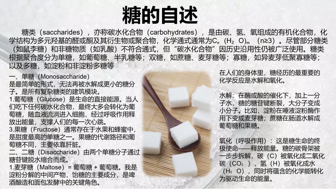 九5 胡昊悦.jpg