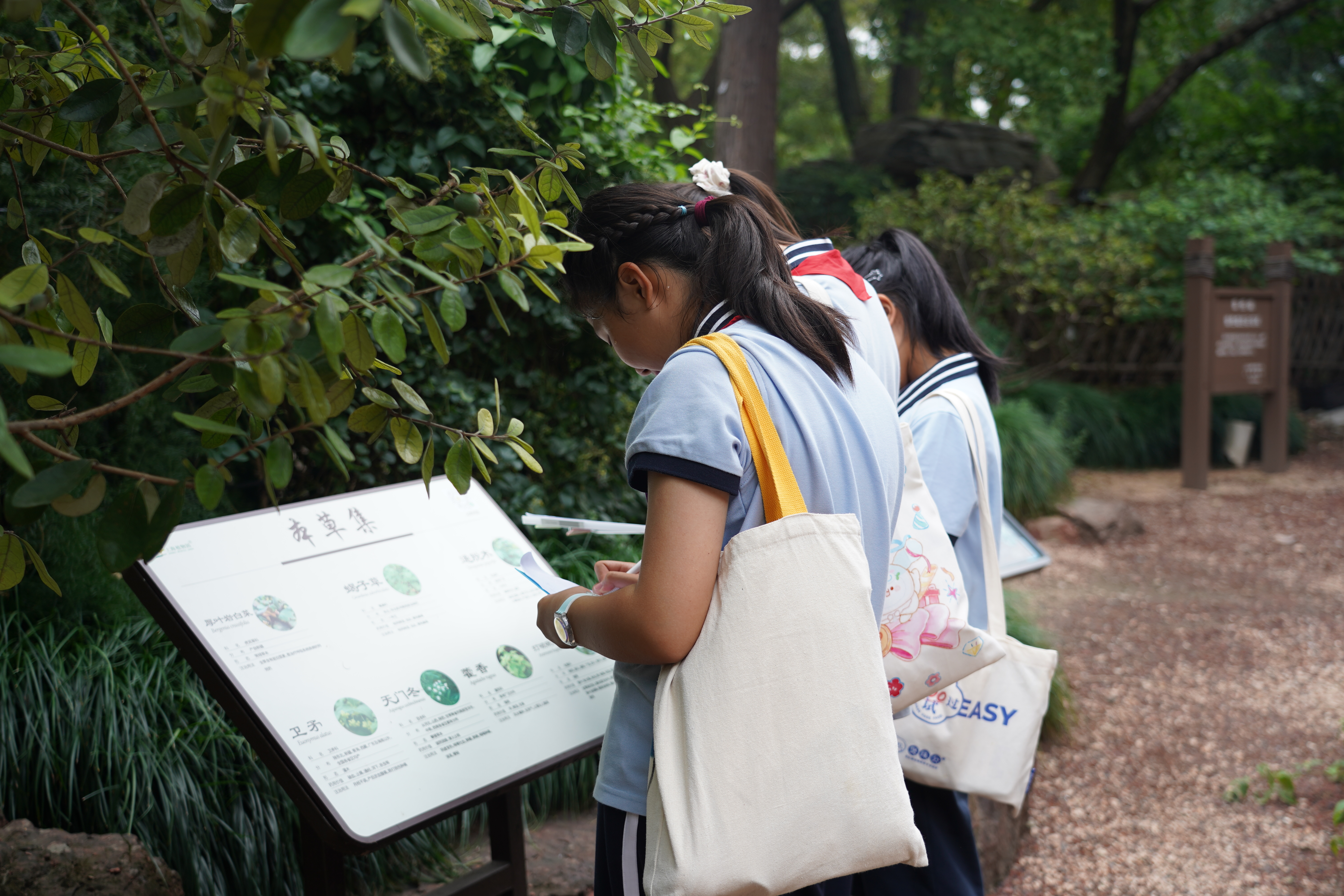 DSC09577.JPG DSC09577.JPG