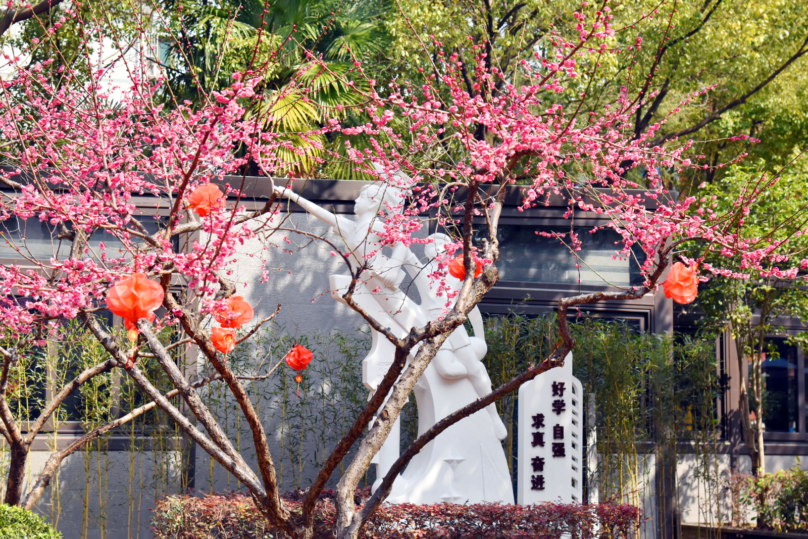 梅花1.JPG