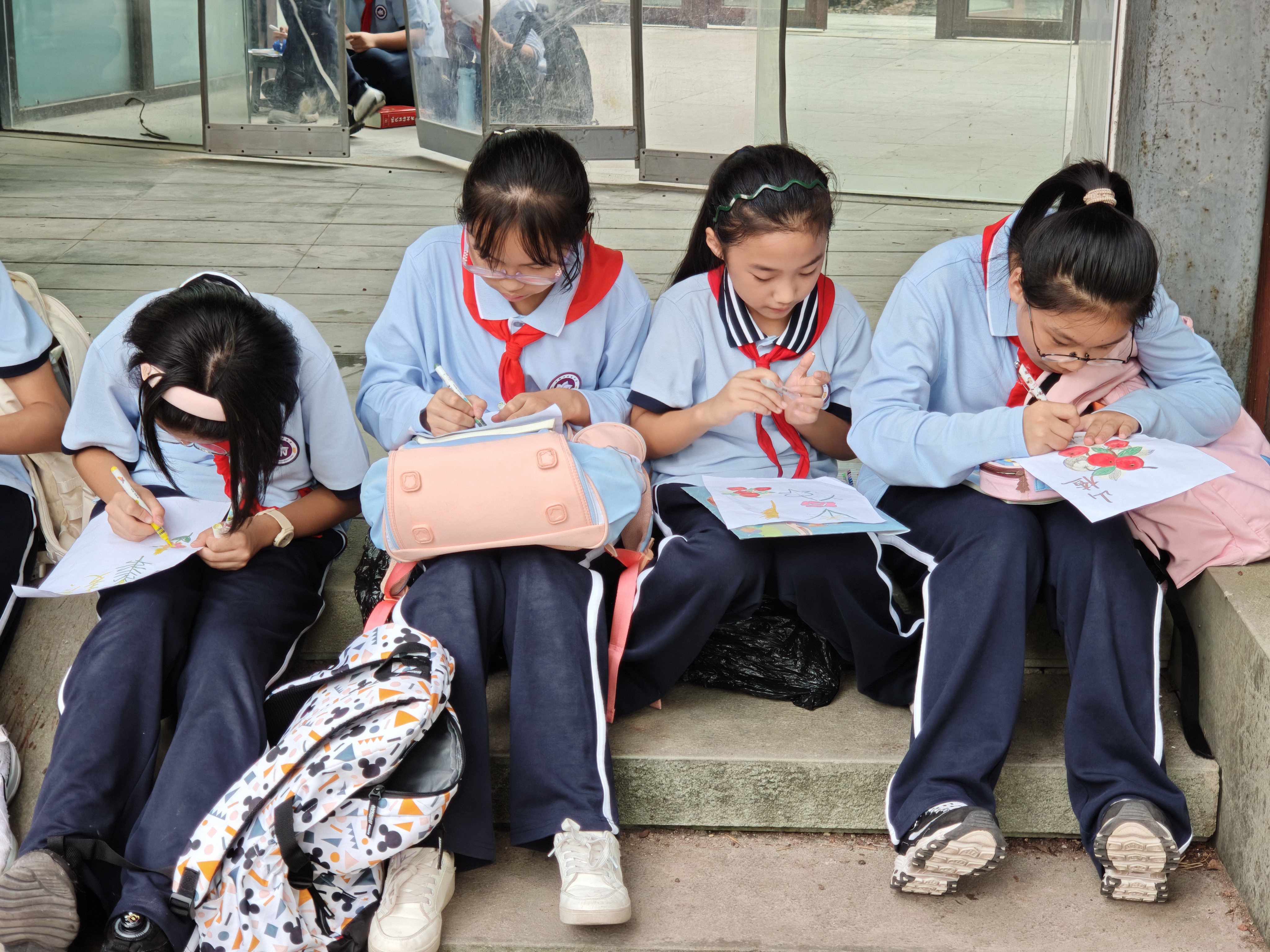 IMG_20251017_143029.jpg IMG_20251017_143029.jpg