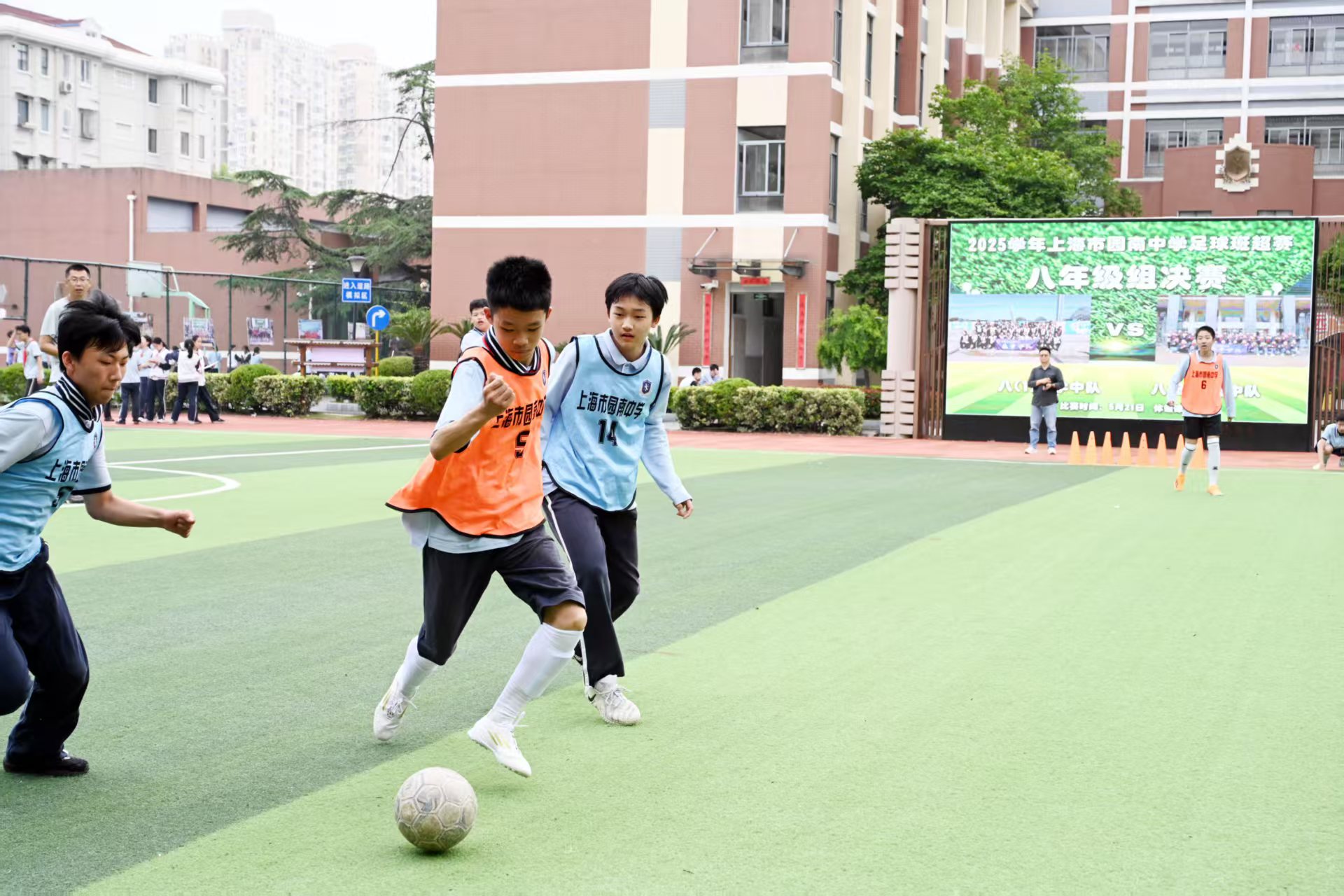 13.jpg 13.jpg