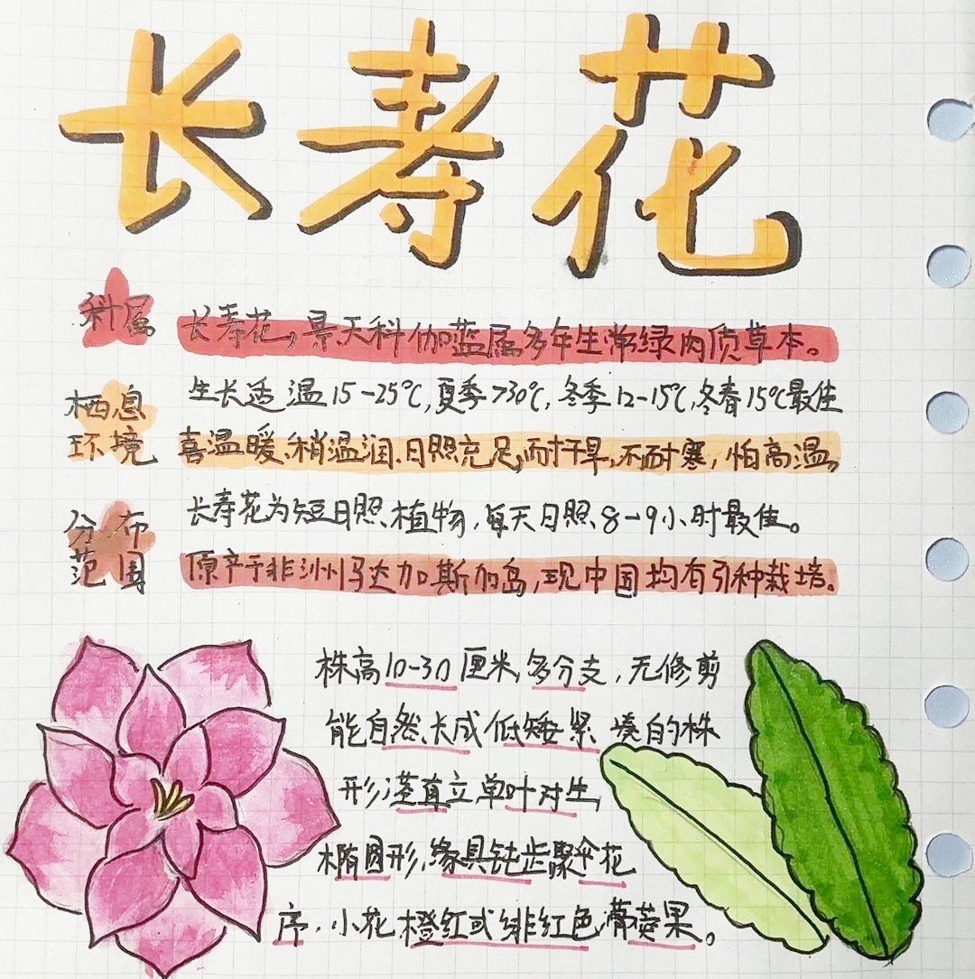 徐一诺_2.jpg