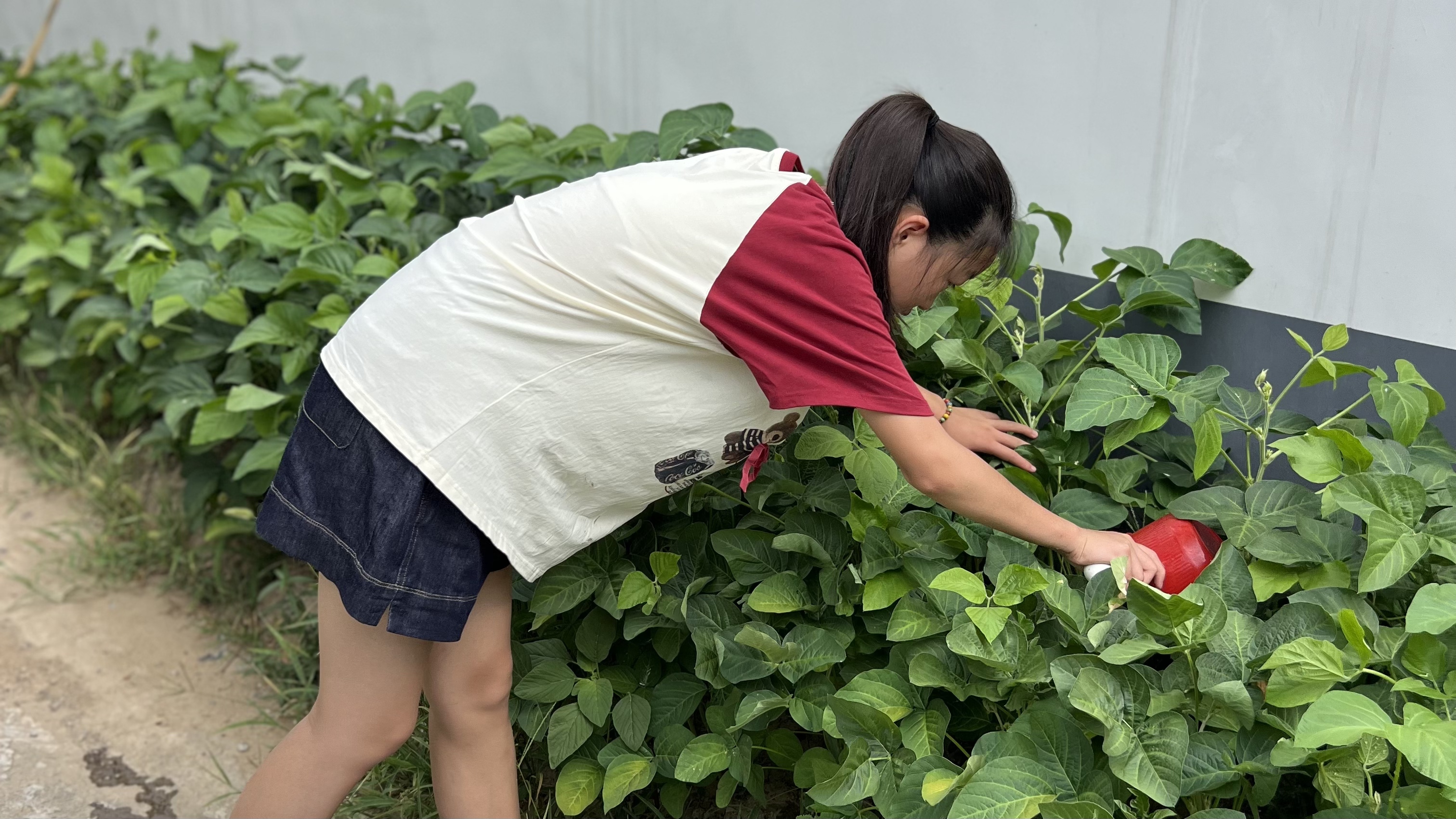 图片43：八（6）马若渝.jpg