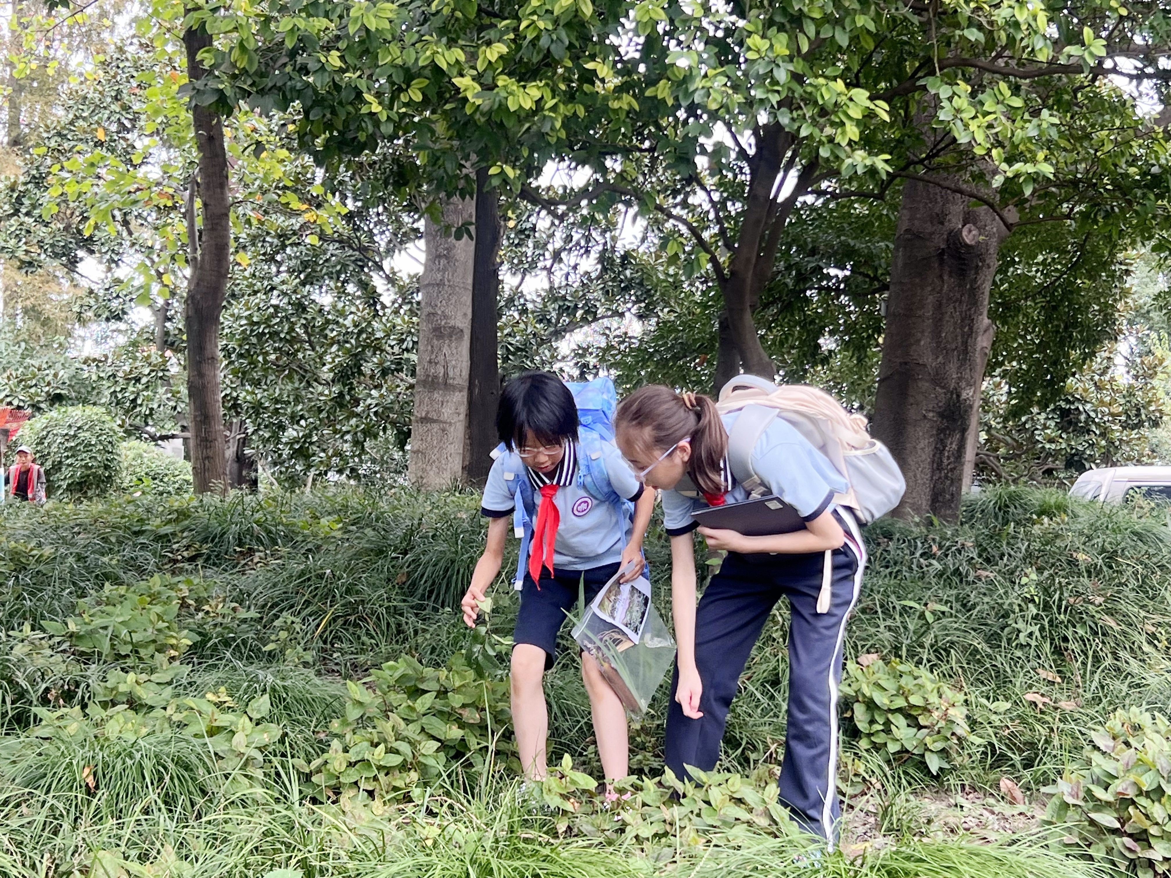 IMG_1788.jpg IMG_1788.jpg