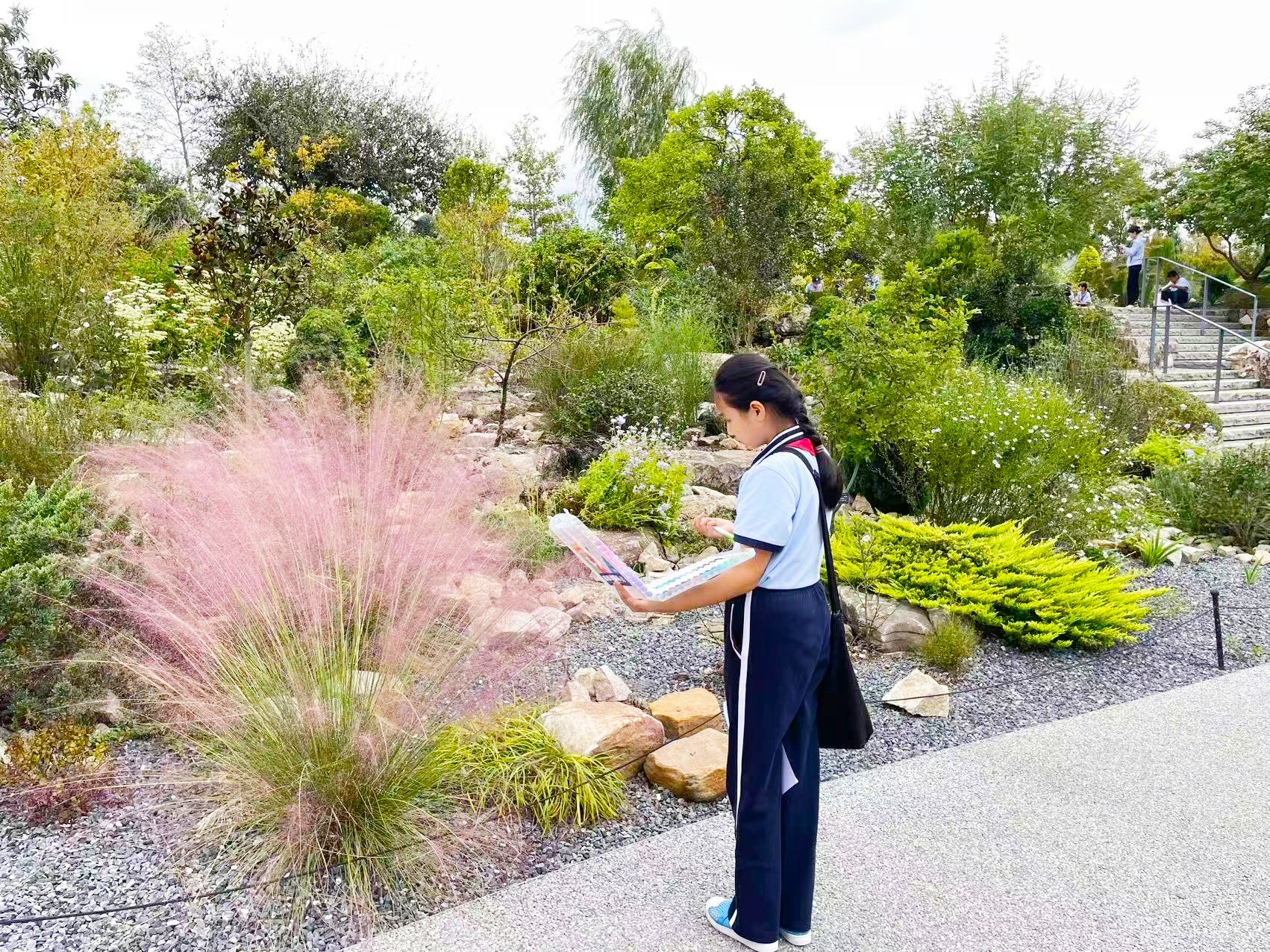 微信图片_20251017145230_125_156.jpg 微信图片_20251017145230_125_156.jpg