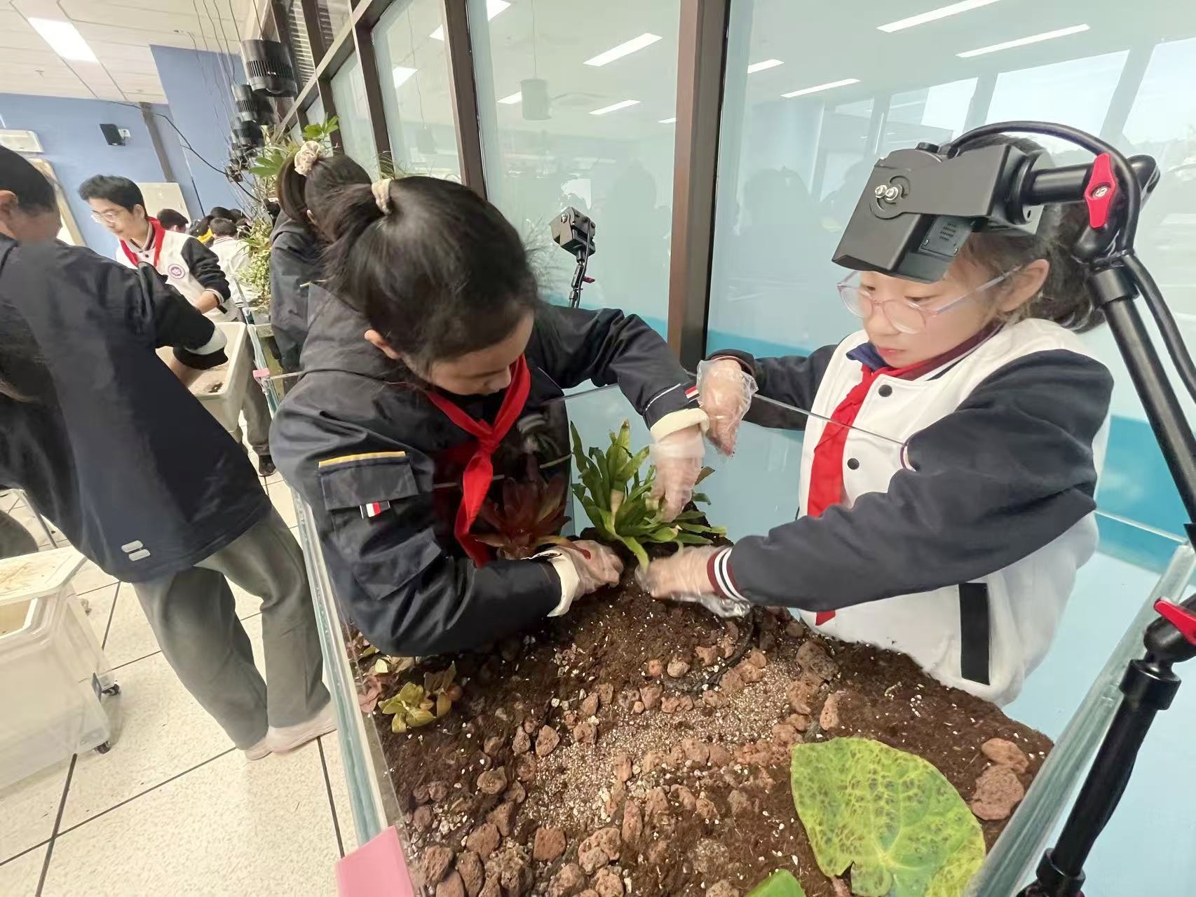 17学生种植植物.jpg
