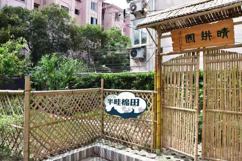 半畦棉田.jpg