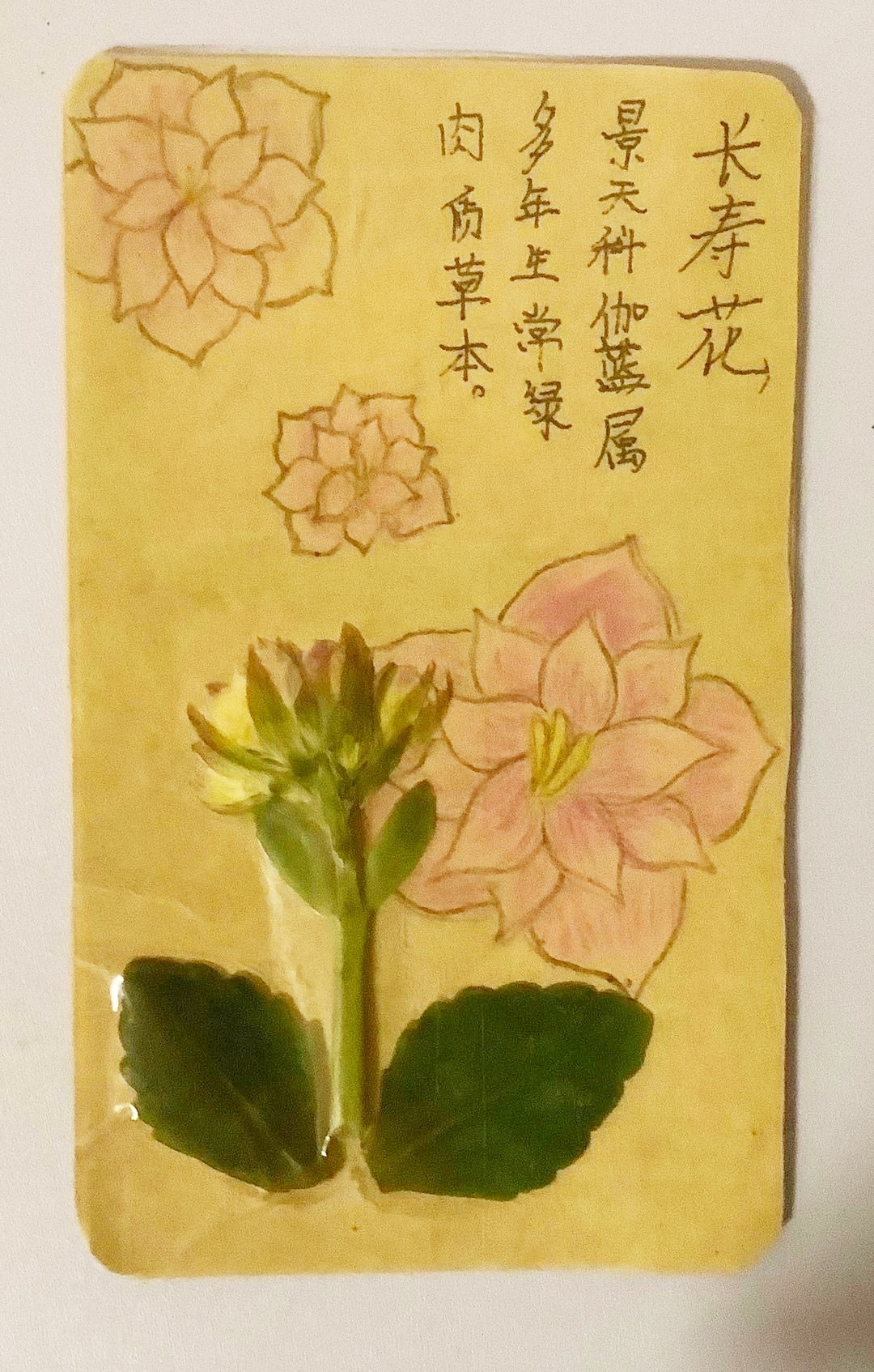 徐一诺_1.jpg