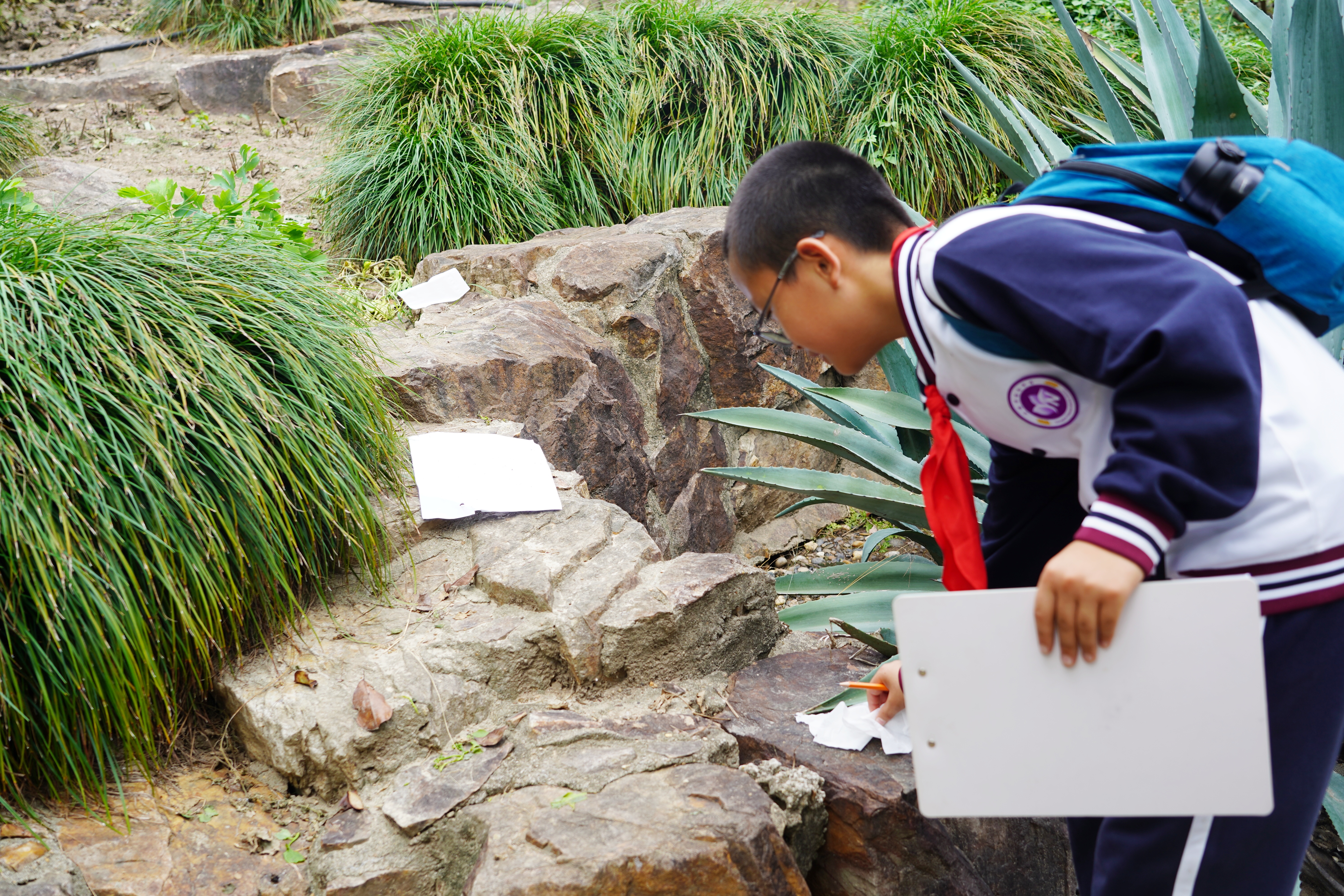 DSC09601.JPG DSC09601.JPG