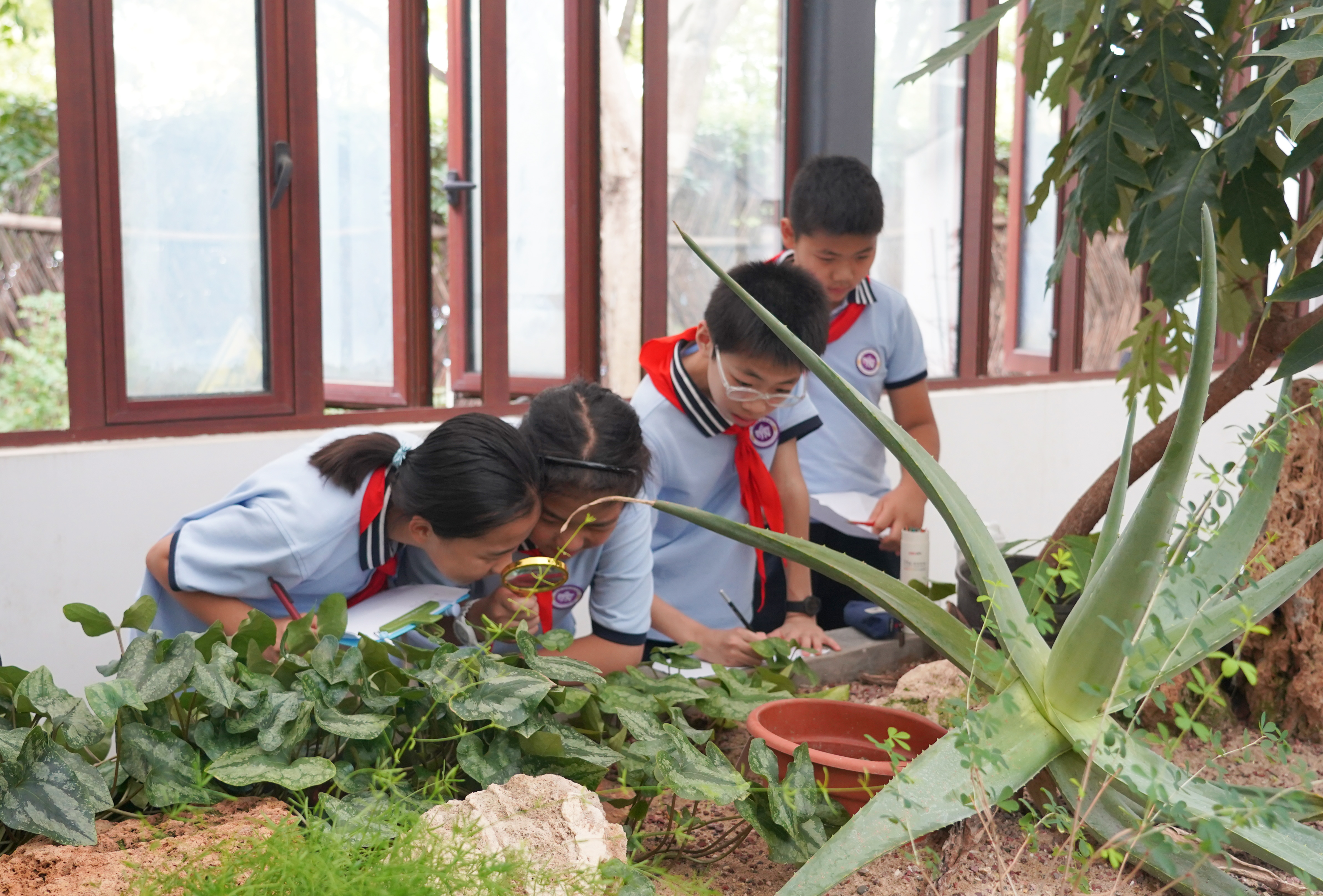 DSC09547.JPG DSC09547.JPG