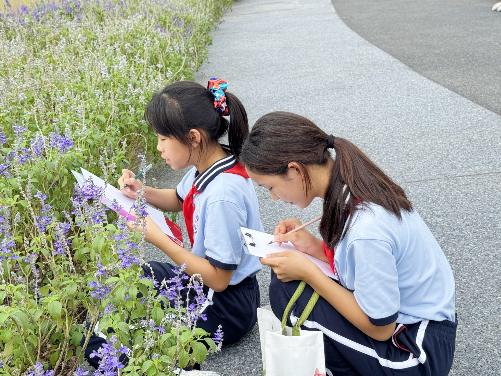 2855669c19d89d422f82ac5fc664353.jpg 2855669c19d89d422f82ac5fc664353.jpg