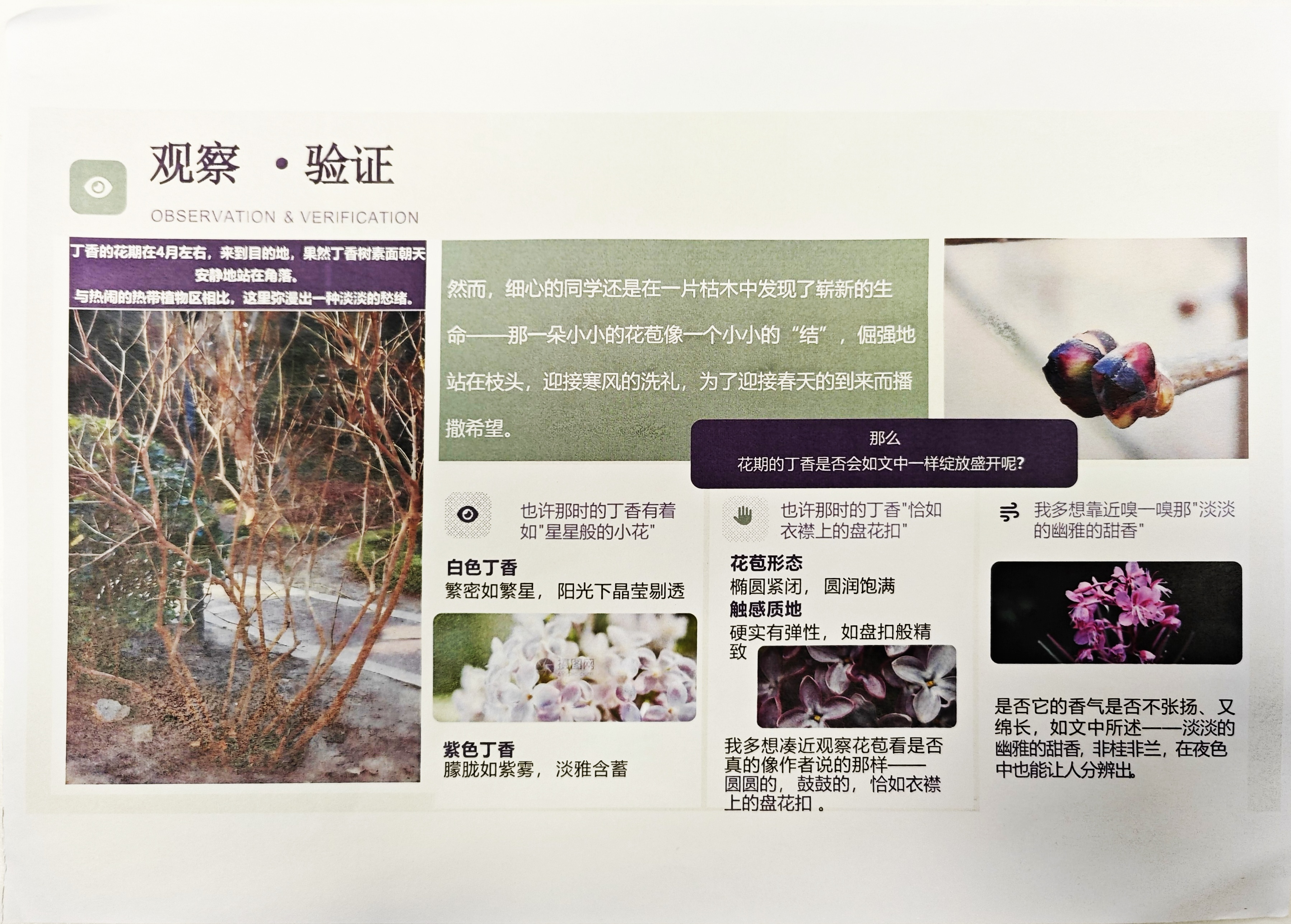 罗城8班 连晟壹小组.jpg