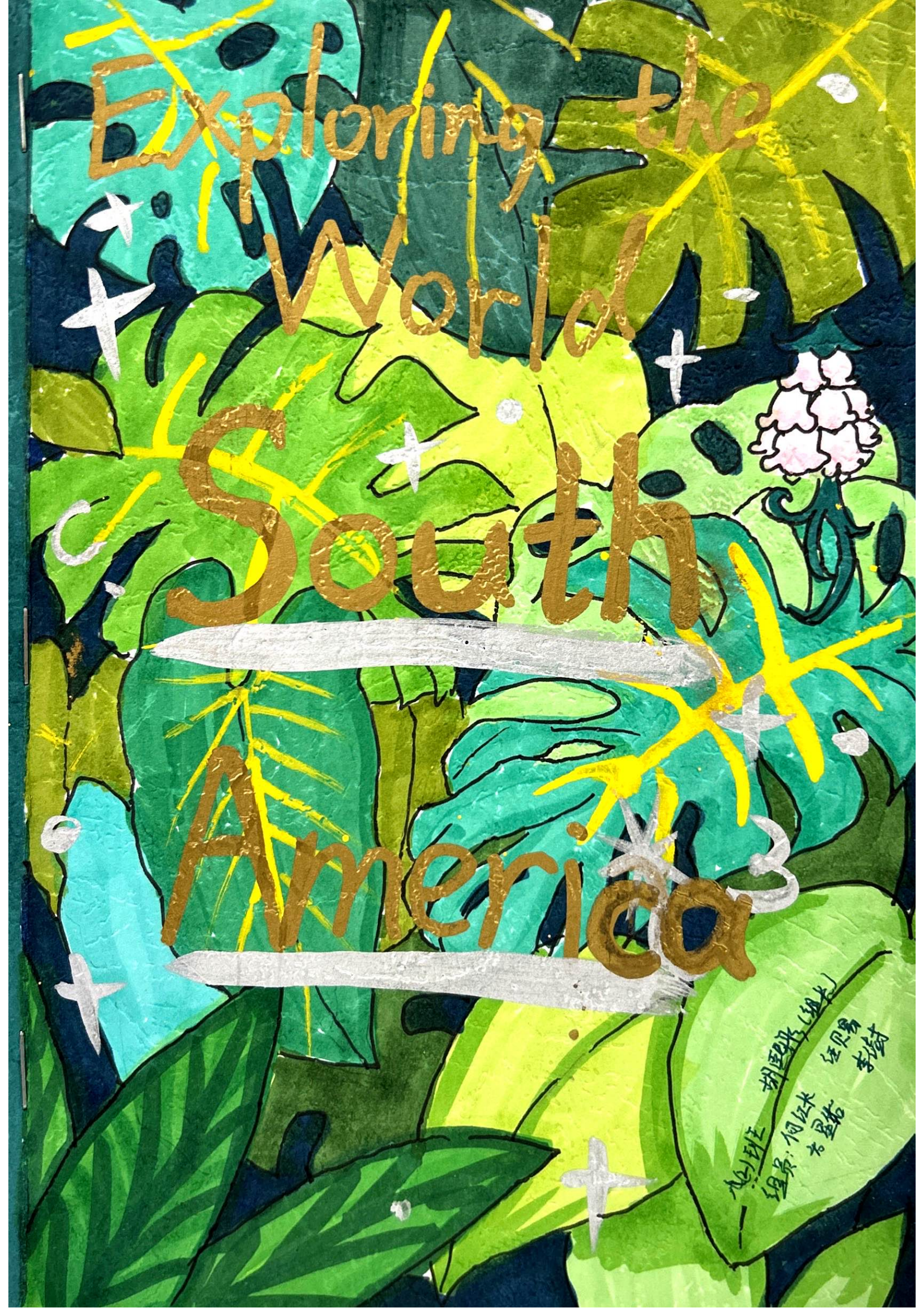 二等奖：八(2)班 胡熙彤小组.png