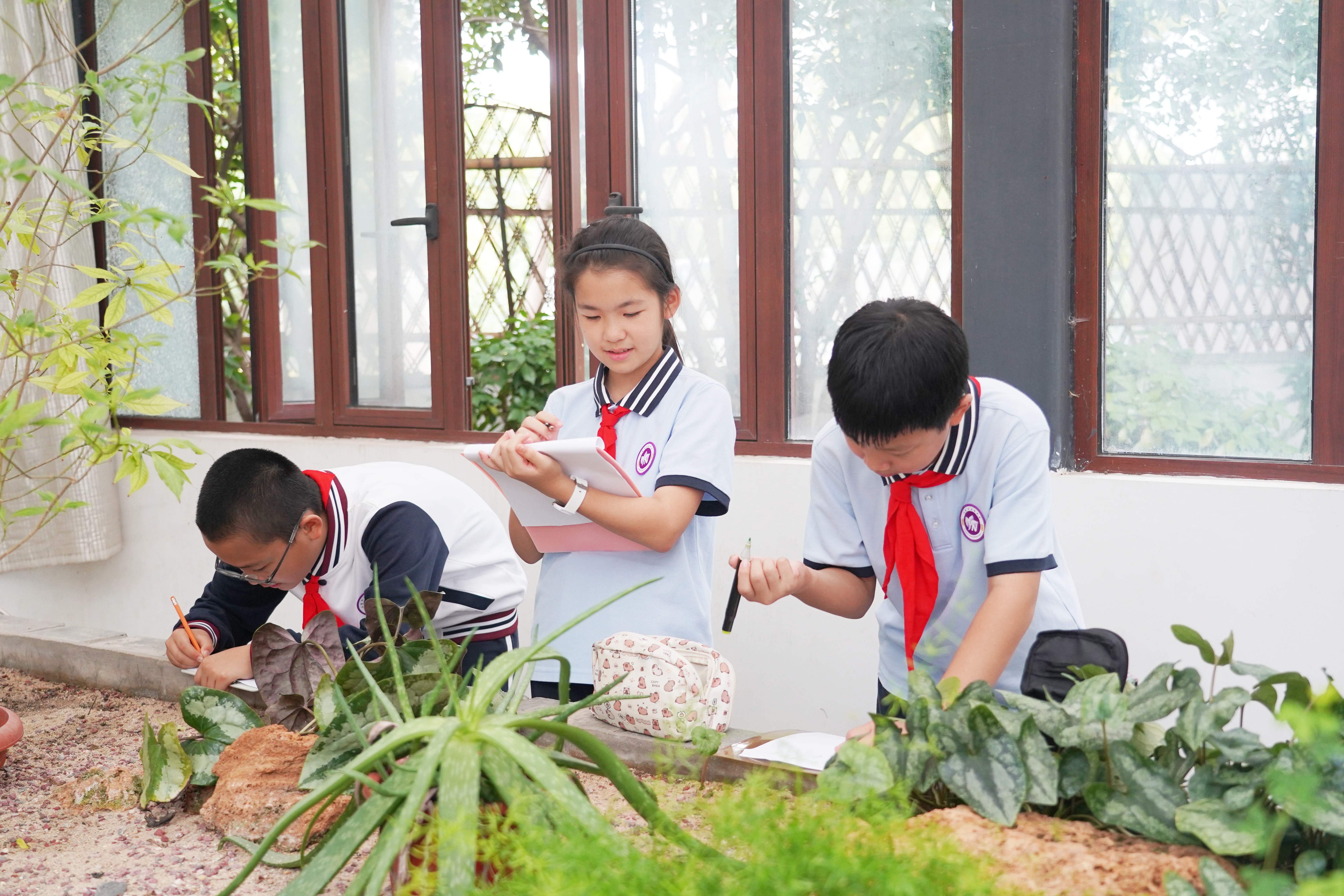 DSC09550.JPG DSC09550.JPG