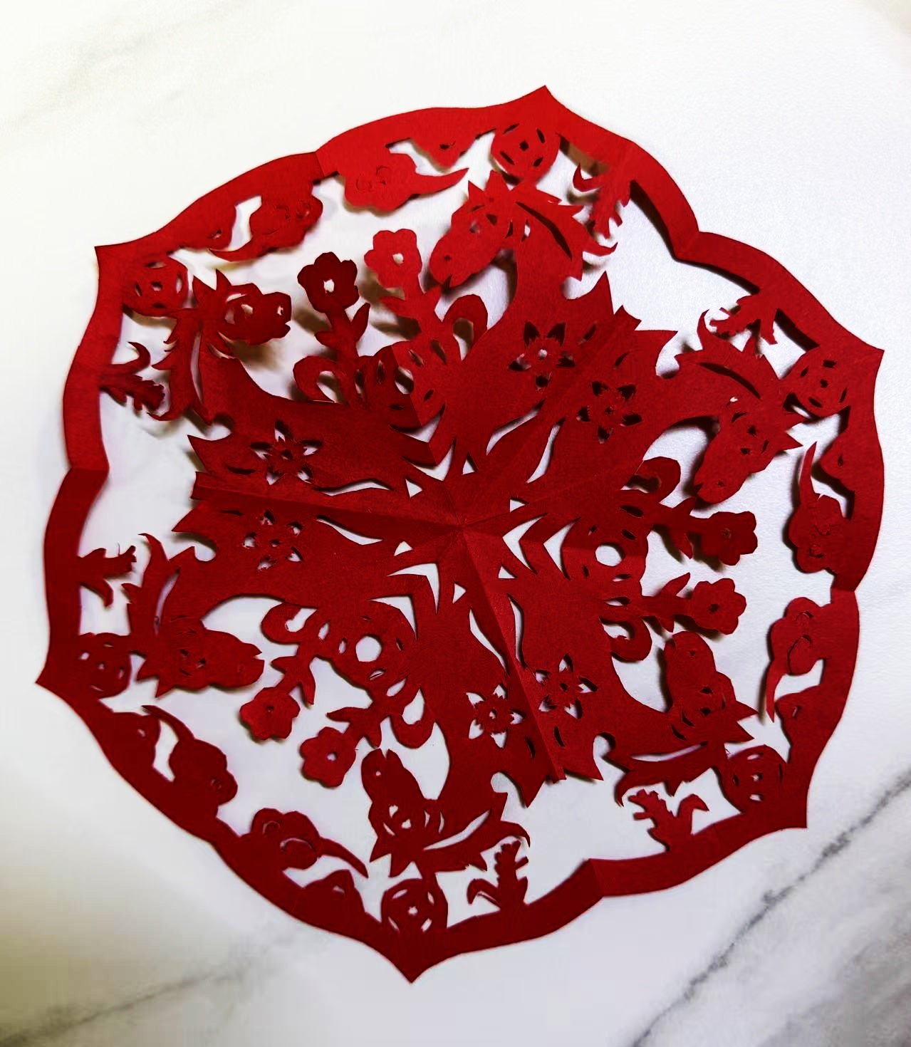 照片15 1班周韵涵.jpg